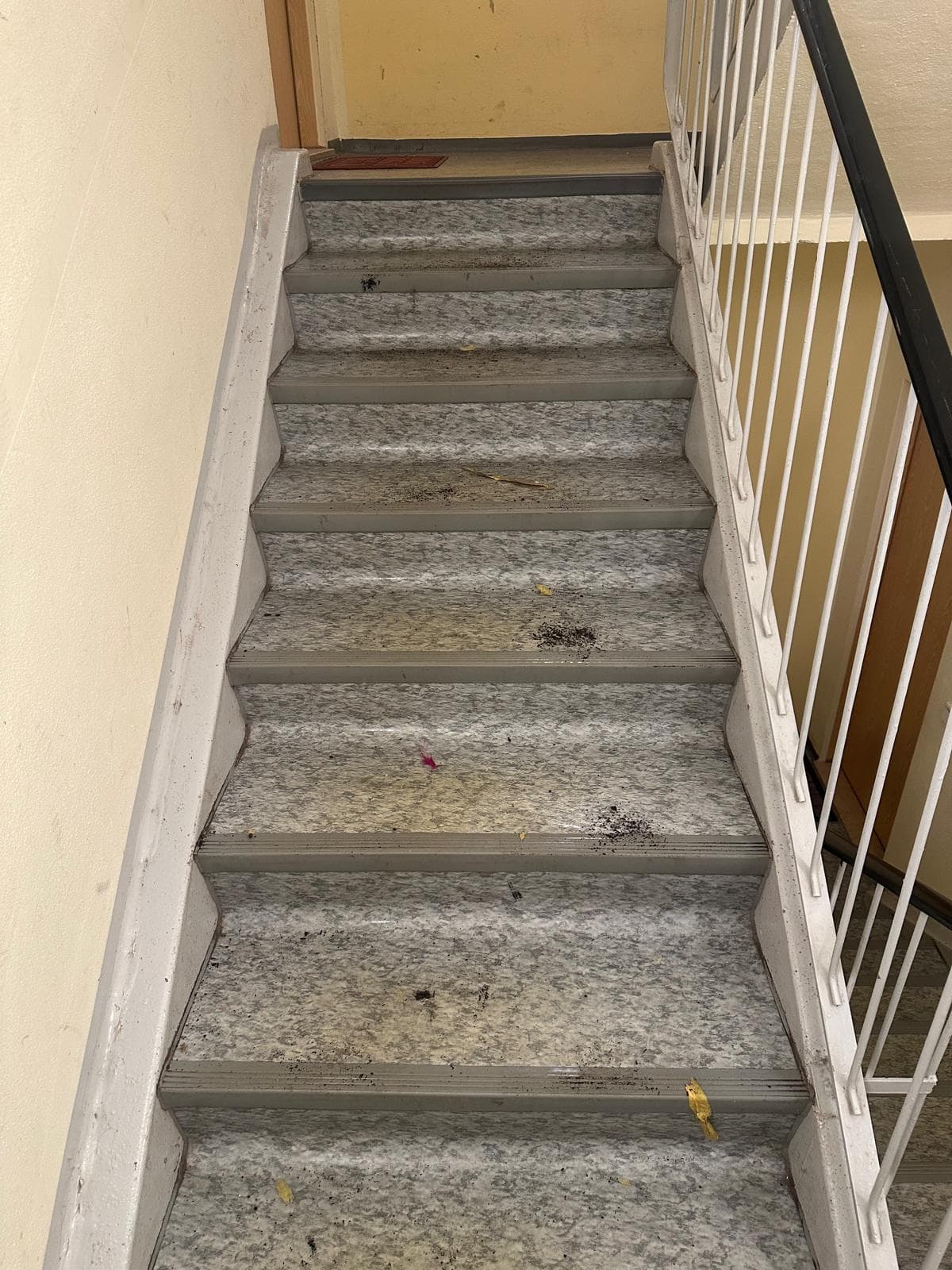 Treppenhaus vor der Reinigung